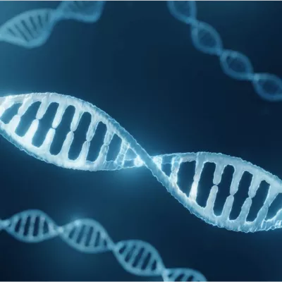 Unveiling the Depths of DNA Magic Reading
